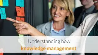 Superior incremental innovation performance and what develops it