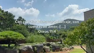 Meditación  