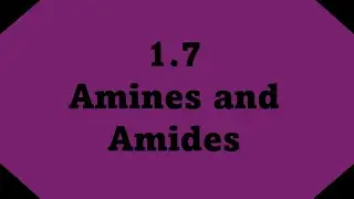 🧪Amines and Amides: Structure, Naming, and Reactions (1.7}