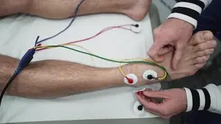 Distorsione - Protocolli Applicativi Tecnologia FREMS