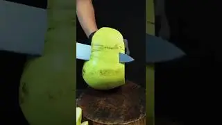 Cut Coconut 🥥 #short #coconut #FruitCutting #shortvideo #KnifeASMR #FoodASMR #CuttingASMR #asmr #fyp