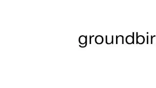 How to pronounce groundbird