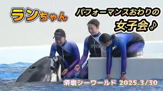 【シャチ】ランちゃんパフォーマンス終わりの女子会【須磨シーワールド2025年3月30日】