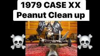 Cleaning up a 1979 CASE XX Peanut 6220 that was my dads and is made in the same year I was born 🏴‍☠️