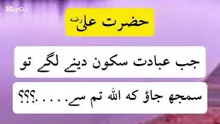 Jab Ibadat Sukoon dene Lage Tab Allah Tum Se |Hazrat Ali Quotes in Urdu | Aqwal e zareen | Rimsha_28