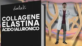 Collagene Elastina e Acido Ialuronico