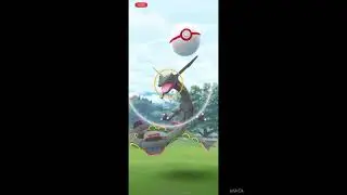 Go fest Day 2 | Shinies, raids, mega evolution! #pokemon #pokemongo#shinyrayquaza #pokemongofest2023