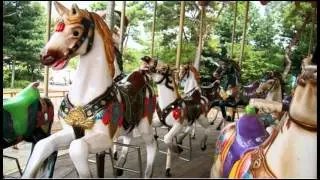 Sell used amusement rides