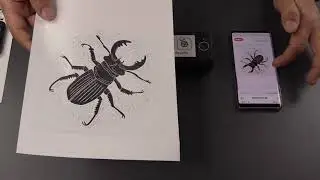 Portabler Thermodrucker Phomemo M08F, Android, IOS, Windows, Chrome, Mac OS, mini Drucker A4