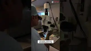 Egg Denudation: A Key Step in IVF Process | Mamata Fertility Hospital: Hyderabad