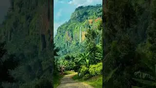 Elgon, UGANDA 🇺🇬 #nature #mountains #travel #adventure #tourism #visituganda #uganda
