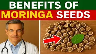 Benefits of Moringa Seeds &ndash; How This Tiny Superfood Transforms Your Health Naturally