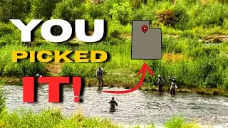 We Let Our Subscribers Pick Our Fishing Trip (Epic Results!)