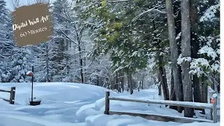 Winter Forest Digital Wall Art  | 60 Minutes of Ambient Music