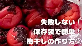 【梅仕事】②簡単・失敗しない！保存袋で作る本格梅干しの作り方｜初心者でもできる！