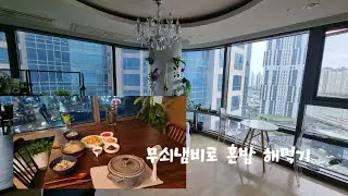매일 솥밥 해먹기, 스타우브 요리, 인덕션청소, 차세르 베이비웍,  이케아 주방템 쇼핑,  벌레잡이제비꽃 분갈이 #스타우브 #무쇠냄비 #집밥