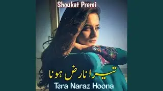 Tera Naraz Hoona