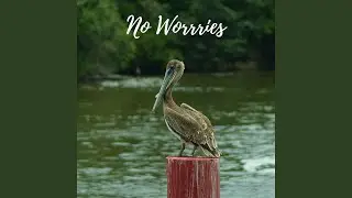Romance of Nature