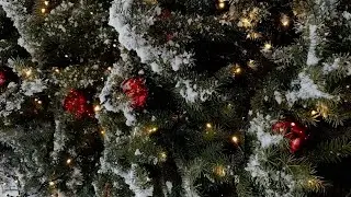 Kayla Noir - Under My Tree (Audio)