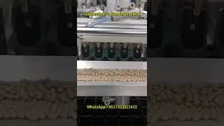 Precision Planting Made Easy: Automatic Tray Seeder Machine Demo