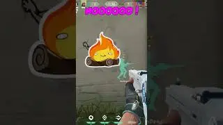 OnlineRanga kills my bird.. *scream warning* #short