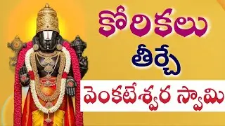 కోరికలు తీర్చే వెంకటేశ్వర స్వామి | temple vastu | replica of tirumala temple | ttd | ttd live 