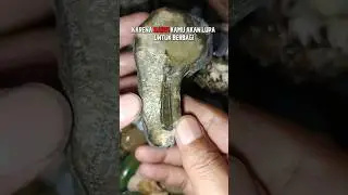 Batu agate tak lupa berbagi. #batuakik #gemquality #batumulia #gemstone #batumewah #batupermata