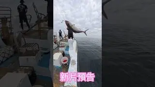 五月的北三才是再大咬阿‼️#かんぱち #ボート釣り #fishing #浪鐵幫 #船釣 #outdoors #shorts #船釣鐵板 #北三島