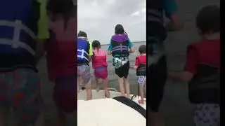Reel Cajun