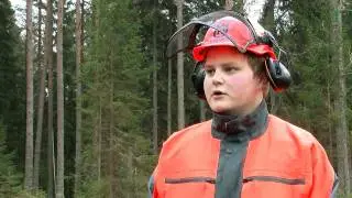 Skogsaktuellt WebbTV: Trädfällning på Kvinnerstaskolan