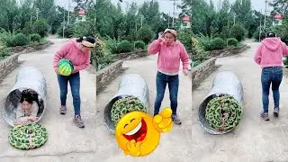 Where did my watermelon go?