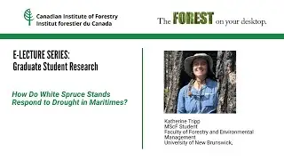 E LECTURE: How Do White Spruce Stands Respond to Drought in Maritimes?