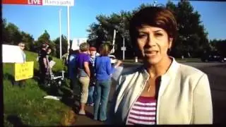 Live animal exports