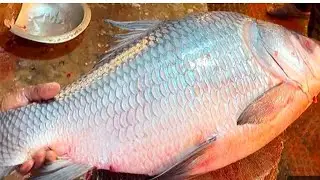 Beautiful River Ravi Fish Cutting Skill I How To Cut Rahu Fish By Expert Butcher I MK Cutting Skills