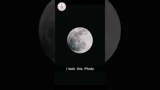 Canon R7 with 70-300 USM Lens 
