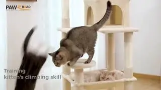 Cat Tree for Indoor Cats 5-Level Cat Tower for Large Cats with Large