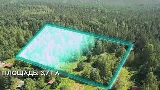 Участок 3,7 га. Ленинградская область, Лужский район, деревня Кемка