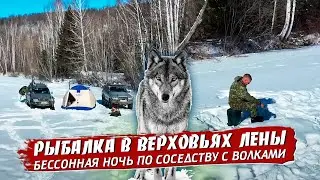 Река Лена. Волки. Ночь Страха.#тайга #сибирь #хариус