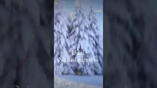 𝚠𝚒𝚗𝚝𝚎𝚛 climate❄𝚝𝚊𝚖𝚒𝚕 status🥰