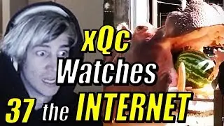 xQc реагирует на 