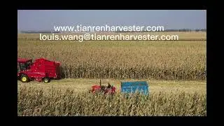 Tianren 4rows corn harvester#Agricultural machine