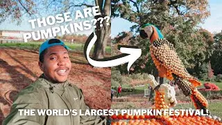 GERMANY IS HOME TO THE WORLD’S LARGEST PUMPKIN FESTIVAL! (KÜRBISAUSSTELLUNG LUDWIGSBURG)