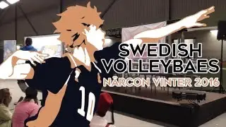 [Swedish Volleybaes] ハイキュー‼/Haikyuu!! Panel | N&auml;rcon vinter 2016