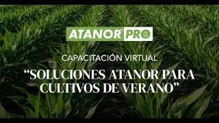 Capacitaci&oacute;n en vivo: Soluciones Atanor para cultivos de Verano
