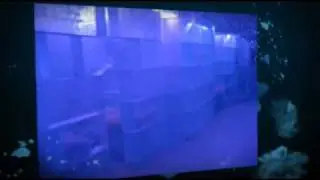 New Ice Club Roma Centro a pochi passi dai Fori Imperiali. Bevi un cocktail a 5 gradi sotto zero.