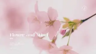 메이플스토리 (MapleStory) - Flower and Wind (에우렐 BGM) Piano Cover 피아노 커버