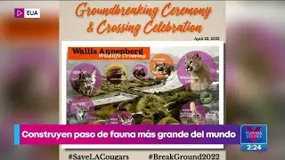 Construyen paso de fauna m&aacute;s grande del mundo en Los &Aacute;ngeles | Noticias con Yuriria Sierra