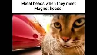 Metal heads when they meet Magnet heads:               #Shorts