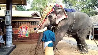 UTTOLY ANANDAN l കുറുമ്പ് കാണിക്കാതെ അനന്താ...!!😎