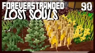 Katze &auml;rgern | #90 Minecraft Forever Stranded 2 | miri33 Balui Items4Sacred
